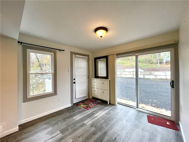 entryway featuring hardwood / wood-style floors