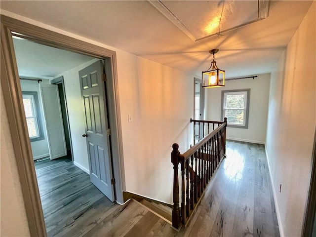 hallway featuring hardwood / wood-style flooring