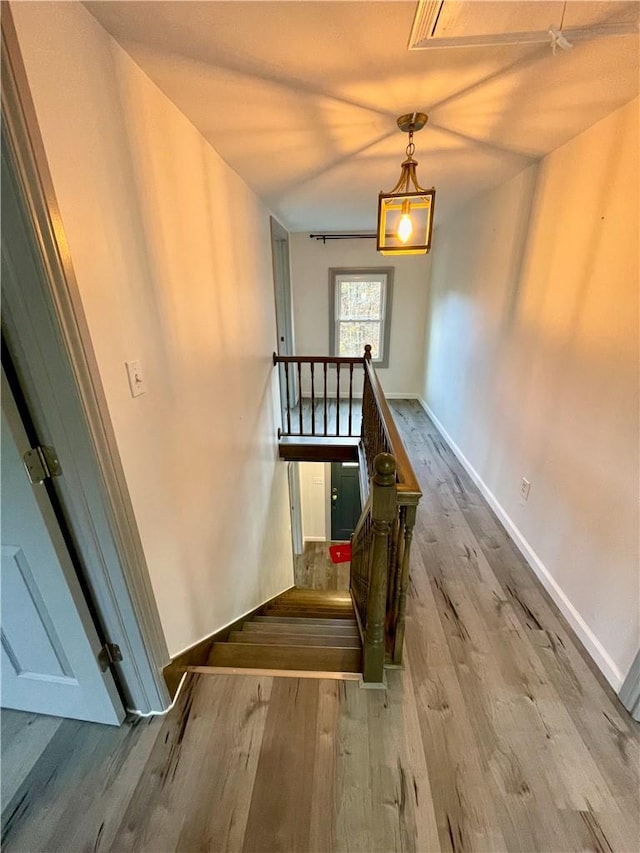 stairs with hardwood / wood-style floors