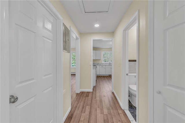 hall featuring light hardwood / wood-style flooring