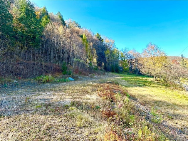 Hazel Rd, Livingston Manor NY, 12758 land for sale