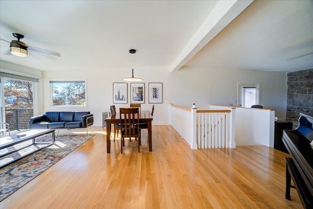 dining room with beam ceiling, ceiling fan, and light hardwood / wood-style floors