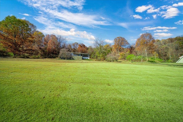 view of yard