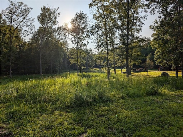 view of nature