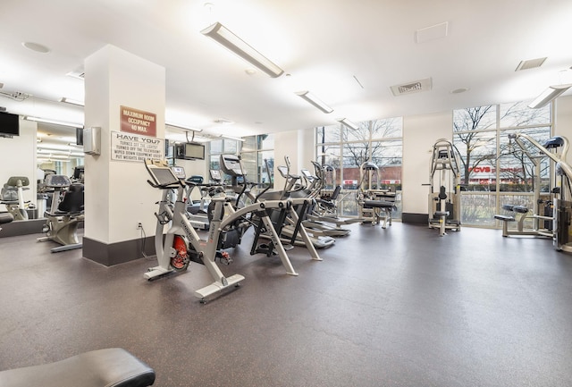 exercise room featuring a healthy amount of sunlight and floor to ceiling windows