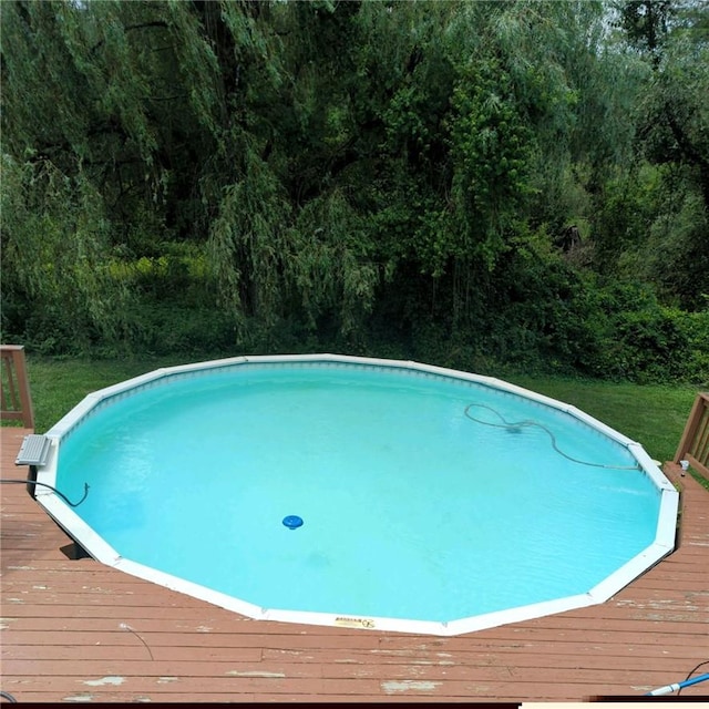 view of pool with a wooden deck