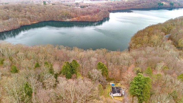 350 W Shore Dr, Carmel, NY 10512 - drone / aerial view of a heavily wooded area and a large body of water
