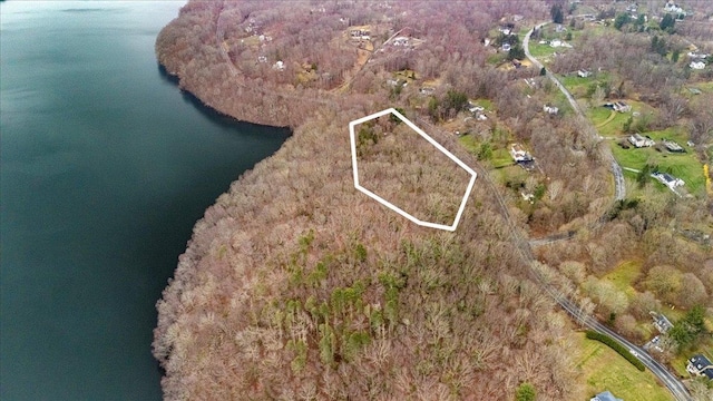 350 W Shore Dr, Carmel, NY 10512 - view of property location featuring a large body of water and property boundaries highlighted