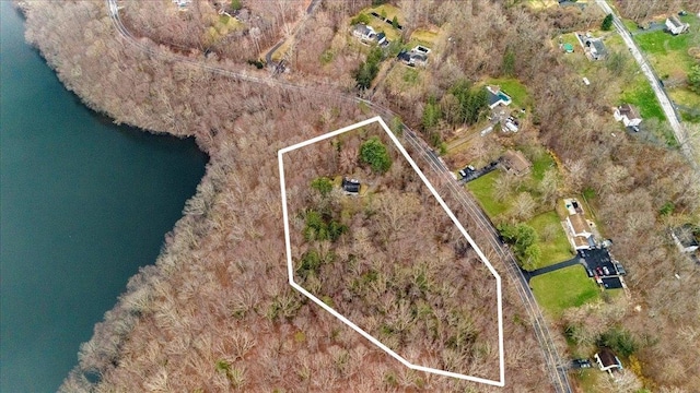 350 W Shore Dr, Carmel, NY 10512 - aerial overview of property's location featuring property boundaries highlighted and a nearby body of water