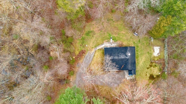 350 W Shore Dr, Carmel, NY 10512 - bird's eye view