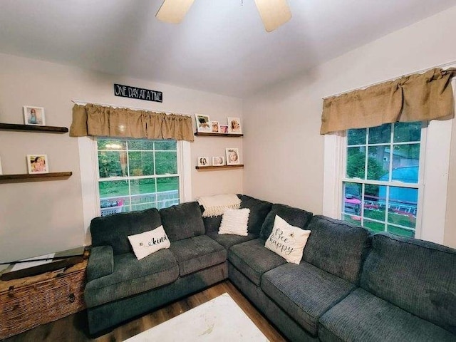 living room with a ceiling fan and wood finished floors