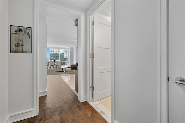 corridor with dark hardwood / wood-style flooring