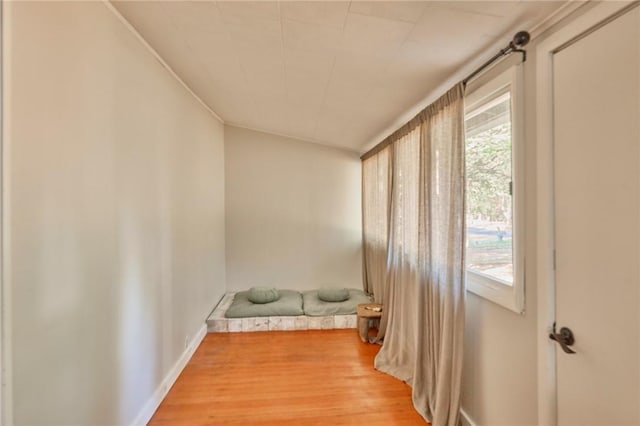 interior space with hardwood / wood-style flooring