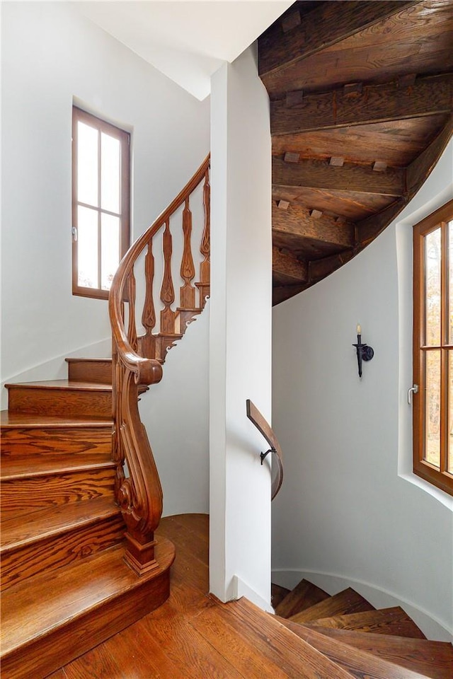 stairway with hardwood / wood-style flooring and a wealth of natural light