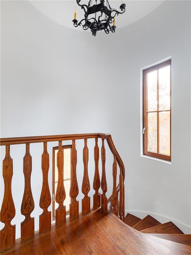 staircase with an inviting chandelier and wood-type flooring