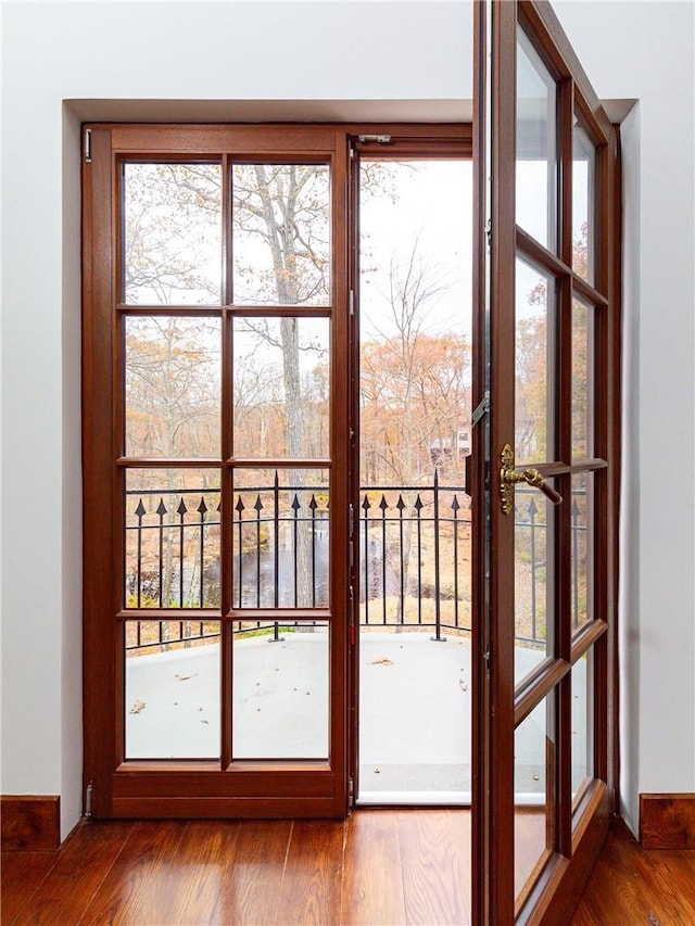 entryway with wood-type flooring