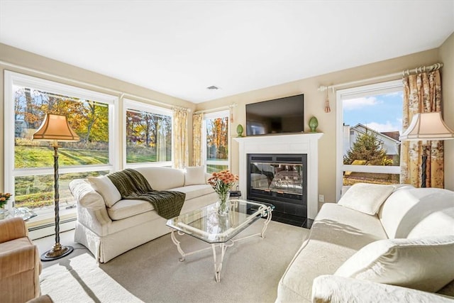 living room with a baseboard radiator