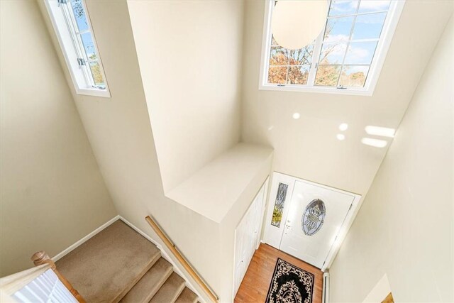 laundry area featuring wood-type flooring and a wealth of natural light