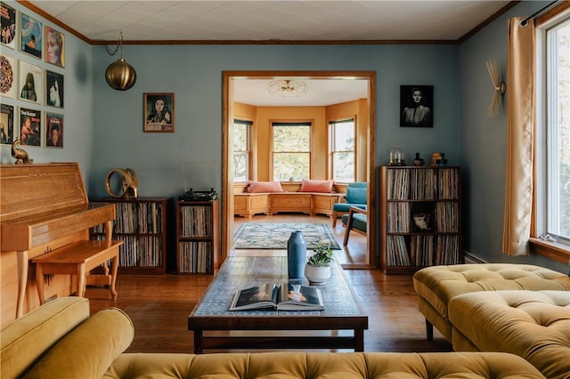 living room with crown molding, dark hardwood / wood-style flooring, and a baseboard radiator