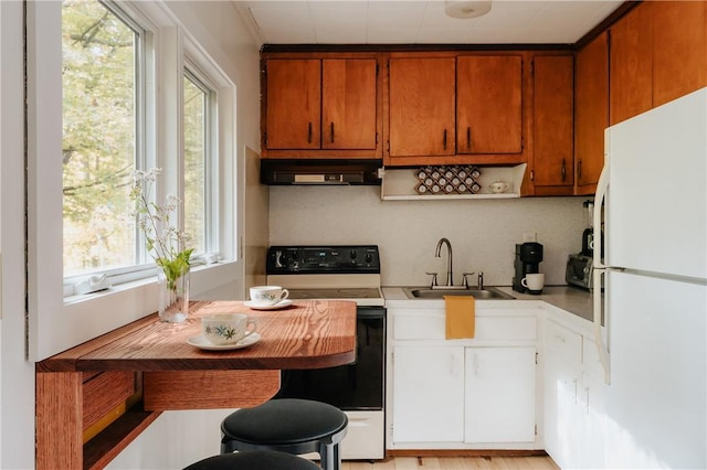 kitchen with a wealth of natural light, range hood, white appliances, and sink