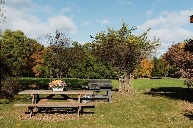 view of property's community with a yard