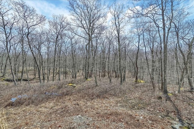 view of local wilderness