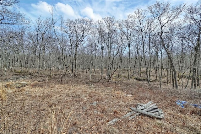 view of local wilderness