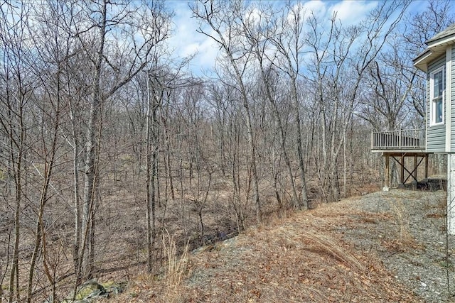 view of yard featuring a wooden deck