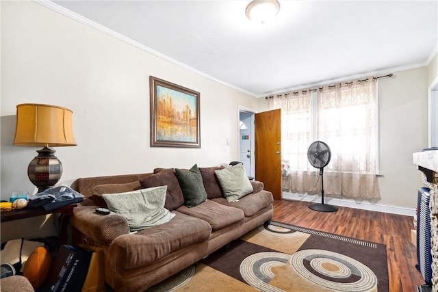 living room featuring dark hardwood / wood-style floors and ornamental molding