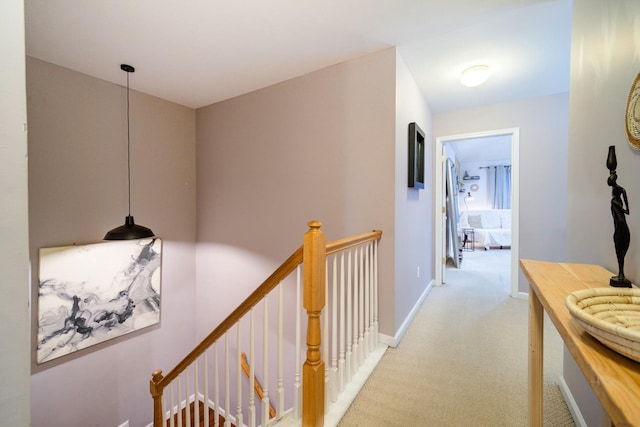 hallway featuring carpet floors