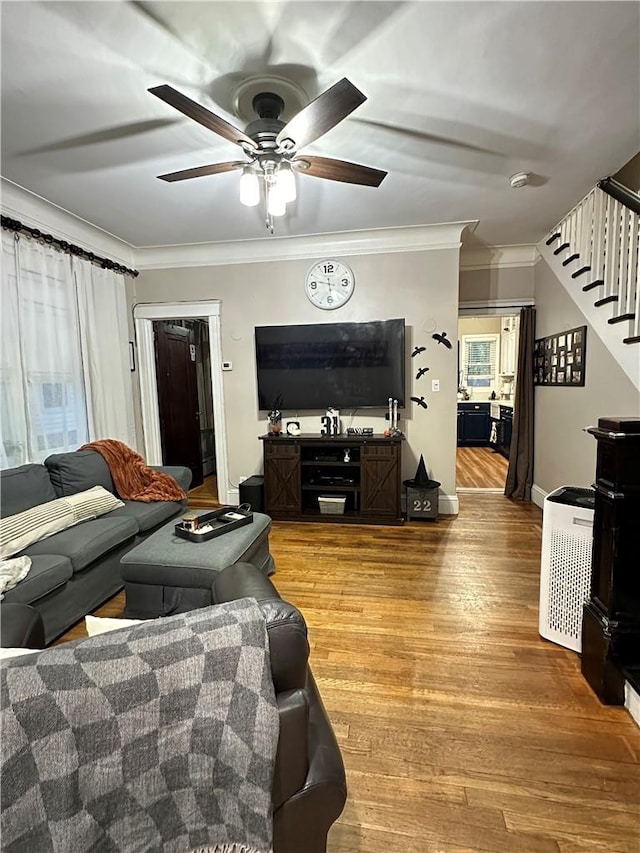 living room with ceiling fan, plenty of natural light, wood-type flooring, and ornamental molding