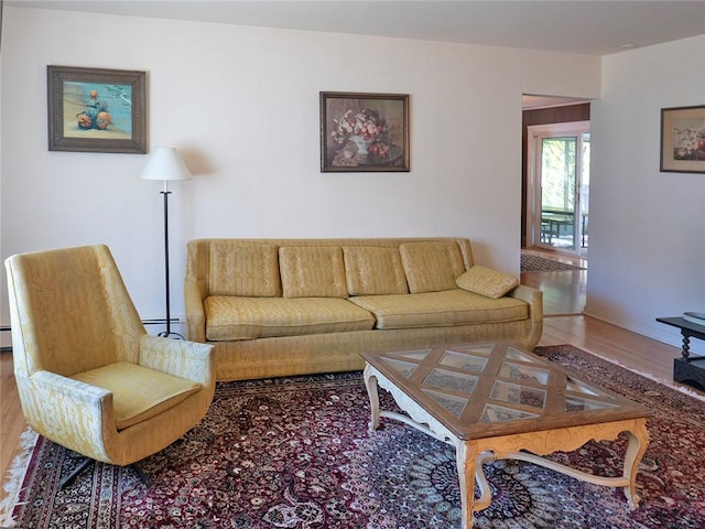 living room featuring wood-type flooring and a baseboard radiator