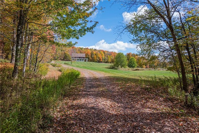 1144-1184 Hollister Hill Rd, Delhi, NY 13753 - photo 4