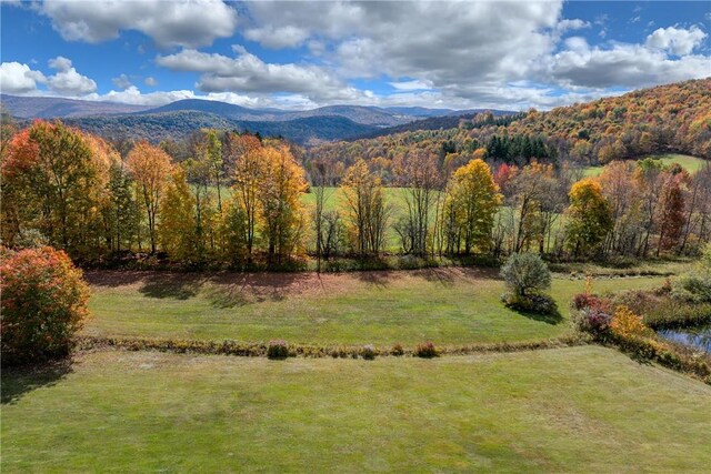 1144-1184 Hollister Hill Rd, Delhi, NY 13753 - photo 7
