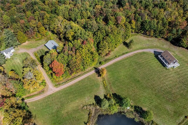 1144-1184 Hollister Hill Rd, Delhi, NY 13753 - photo 22