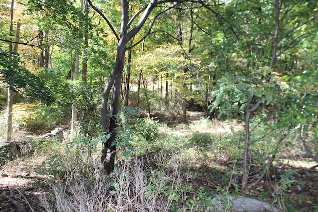 view of landscape featuring a wooded view