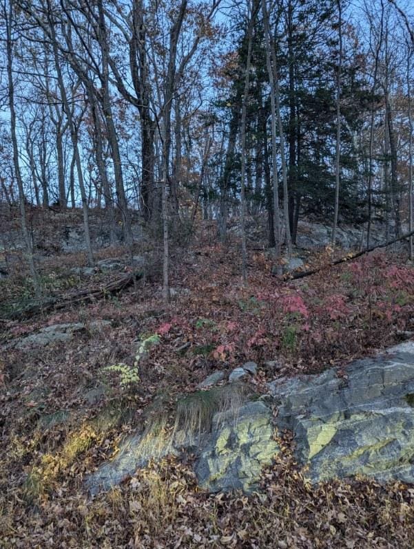 250 Hortontown Rd, Hopewell Junction, NY 12533 - photo 1