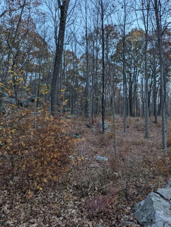 250 Hortontown Rd, Hopewell Junction, NY 12533 - photo 2