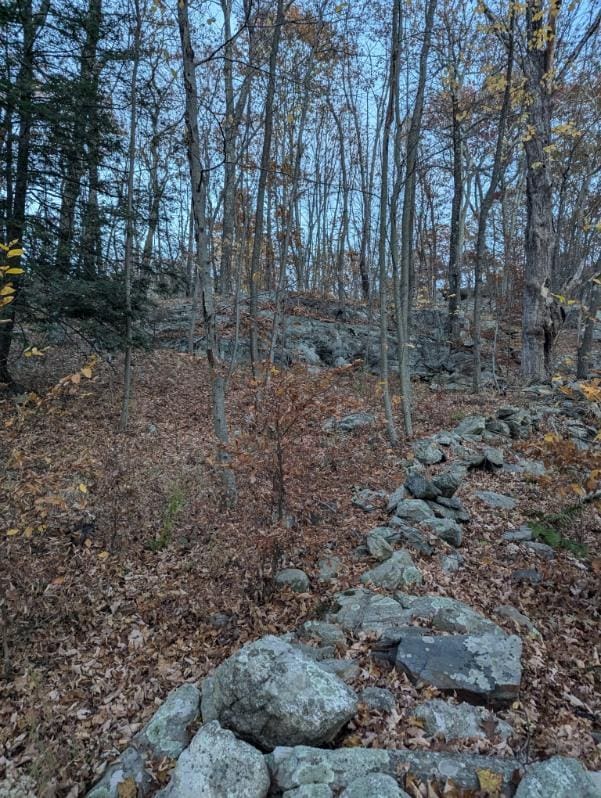 250 Hortontown Rd, Hopewell Junction, NY 12533 - photo 4