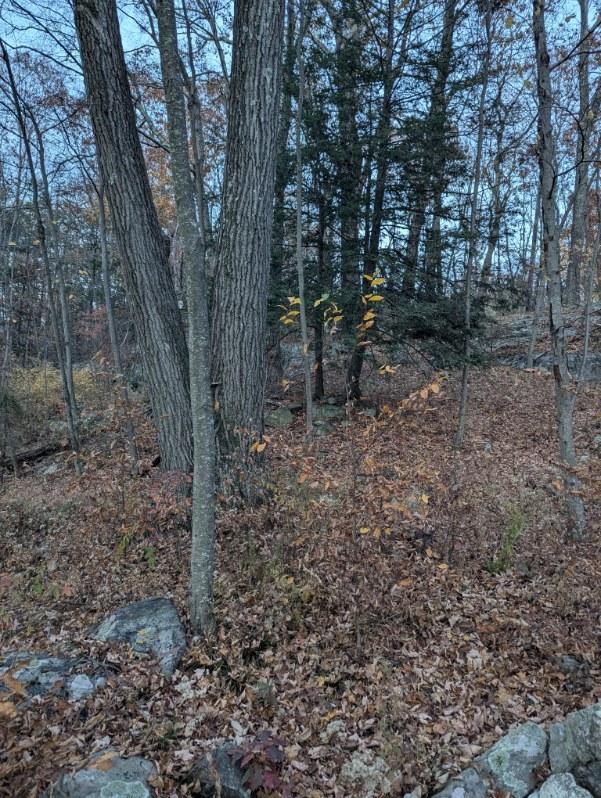 250 Hortontown Rd, Hopewell Junction, NY 12533 - photo 5