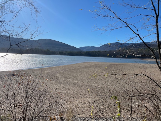 water view with a mountain view