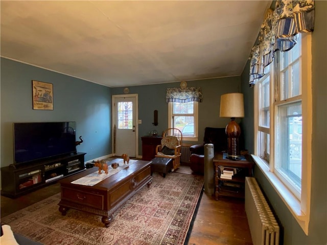 living room with hardwood / wood-style flooring and radiator