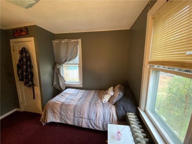 bedroom with carpet flooring, radiator heating unit, crown molding, and multiple windows