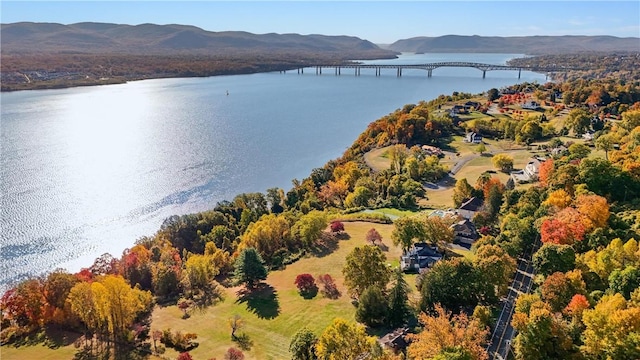 birds eye view of property featuring a water and mountain view