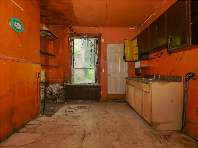 kitchen featuring sink