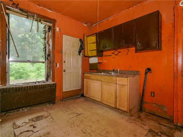 kitchen featuring sink