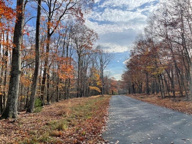 Lake Joseph Dr, Forestburgh NY, 12777 land for sale