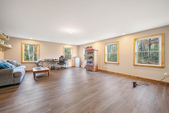 living room featuring baseboards, wood finished floors, and recessed lighting