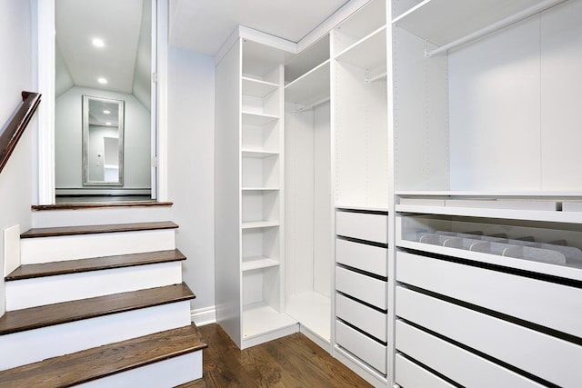 walk in closet with dark wood-type flooring