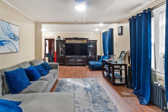 living room featuring radiator heating unit, hardwood / wood-style flooring, and crown molding